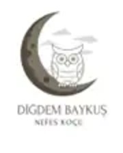 Diğdem Baykuş Nefes Koçu logosu