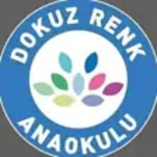 Dokuz Renk Anaokulu logosu