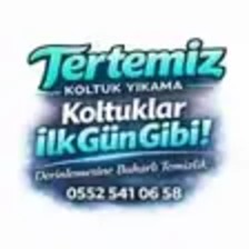 Tertemiz Koltuk Yıkama logosu